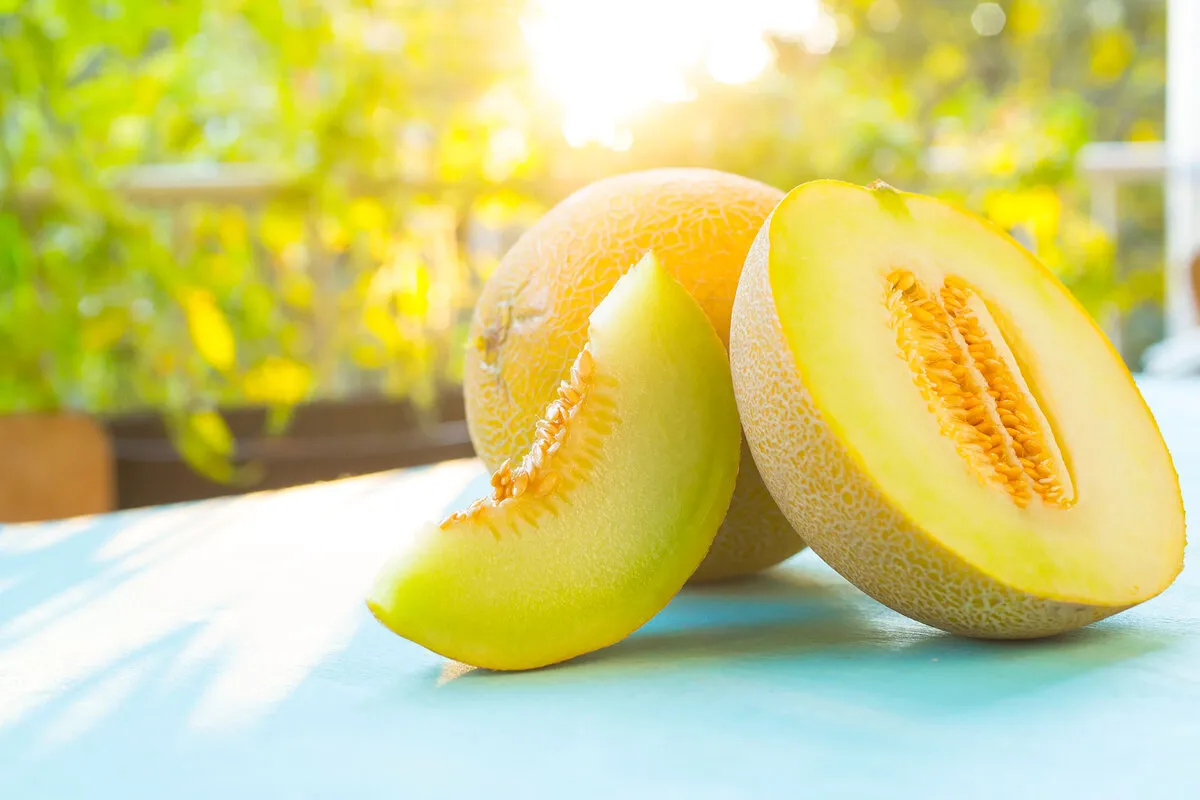 En söt och hälsosam godbit: fördelarna med att äta melon